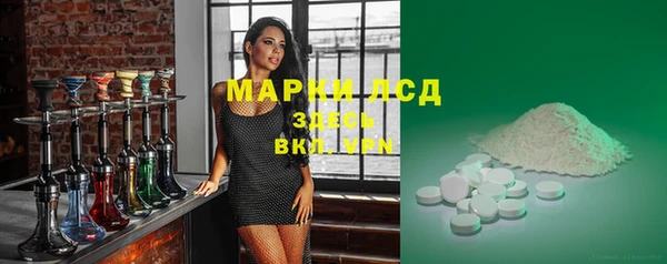прущие грибы Балахна