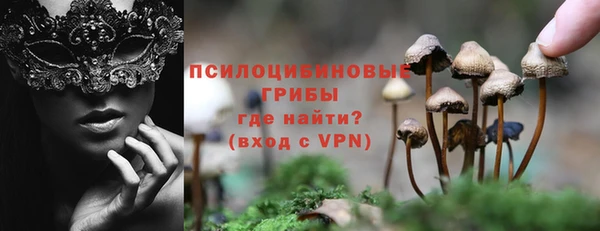 прущие грибы Балахна