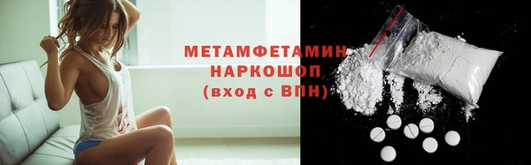 прущие грибы Балахна