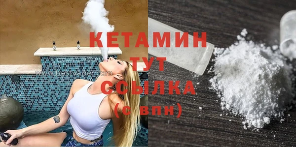 шишки Арсеньев