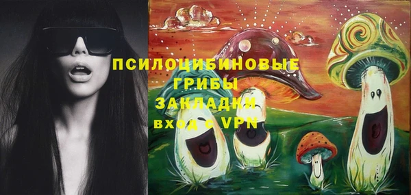 хмурый Аркадак